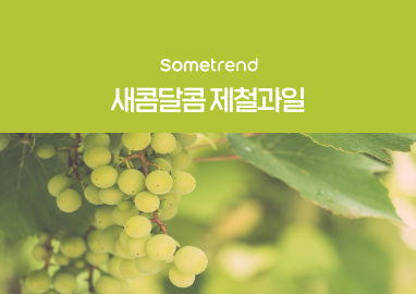 콘텐츠 썸네일
